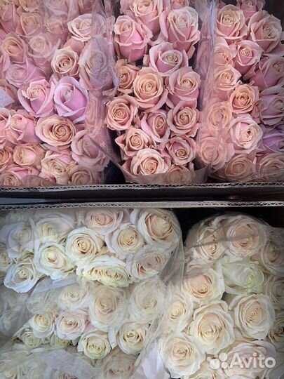 101 роза, 51 роза, 25 роз