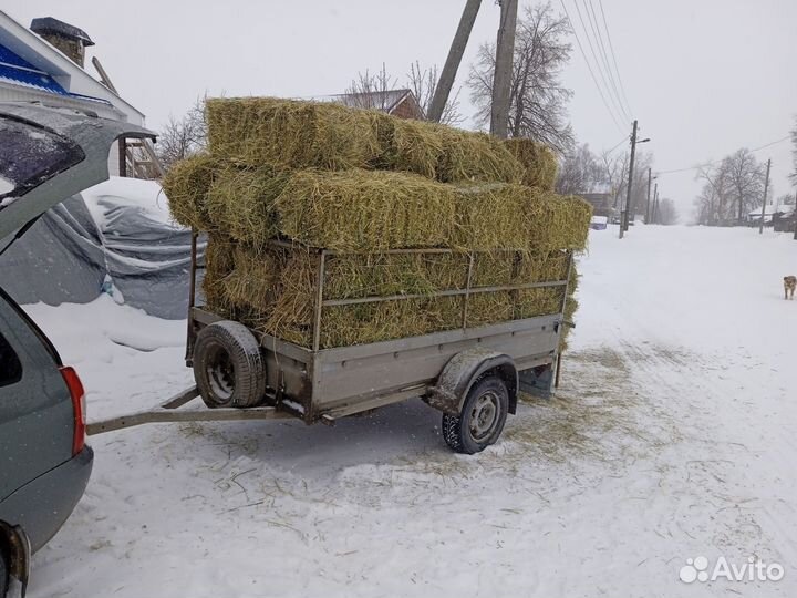 Сено в тюках