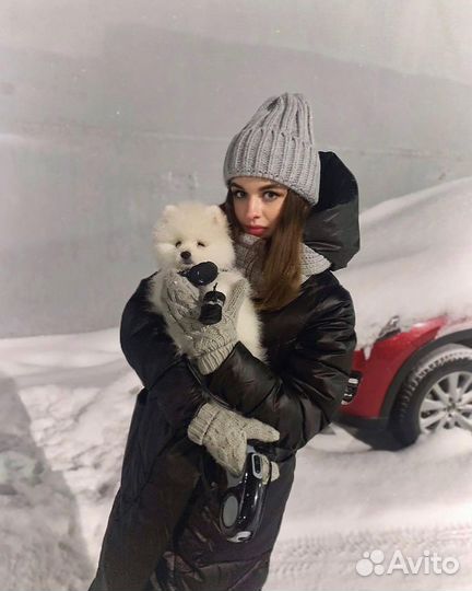 Индивидуальная передержка животных мелких пород