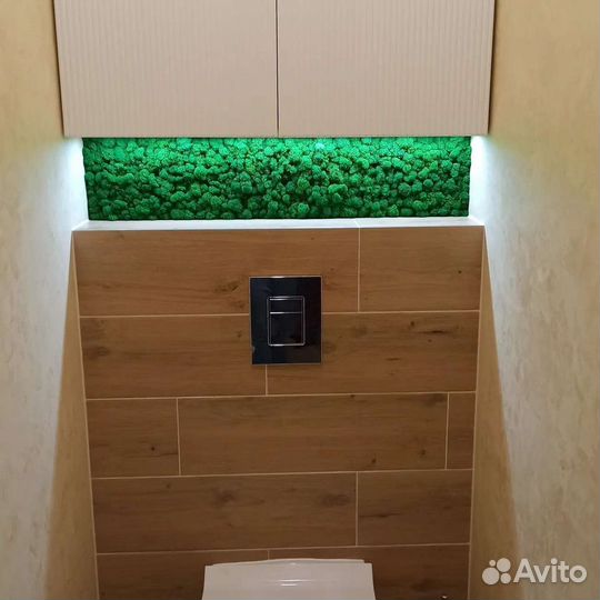 Стабилизированный мох