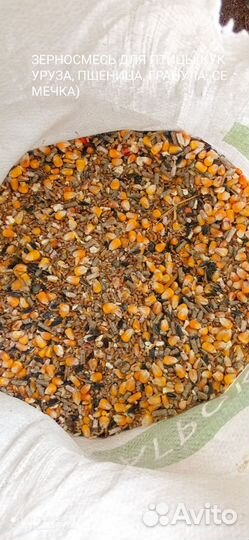 Зерносмеси для всех