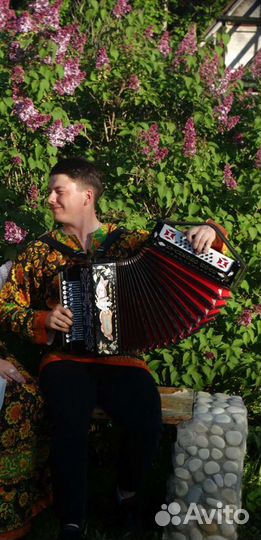Гармонист на ваши праздники