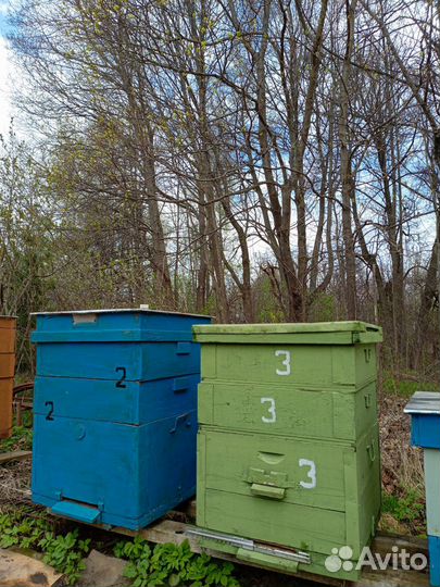 Ульи для пчел