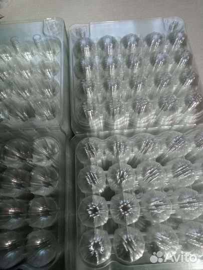 Лотки для перепелиных яиц