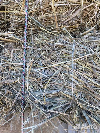 Сено солома рисовая доставкой