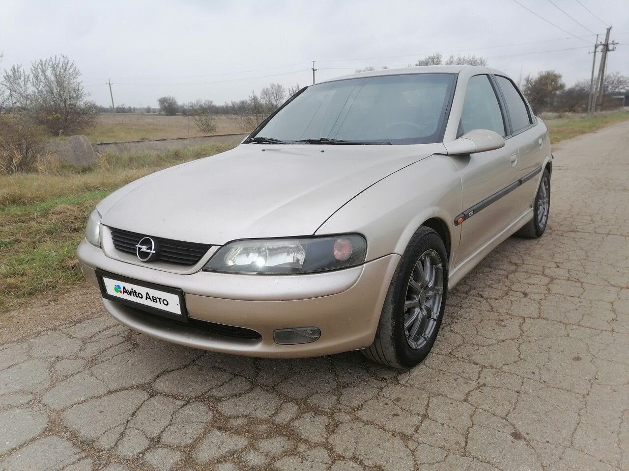 Opel Vectra: фото владельца