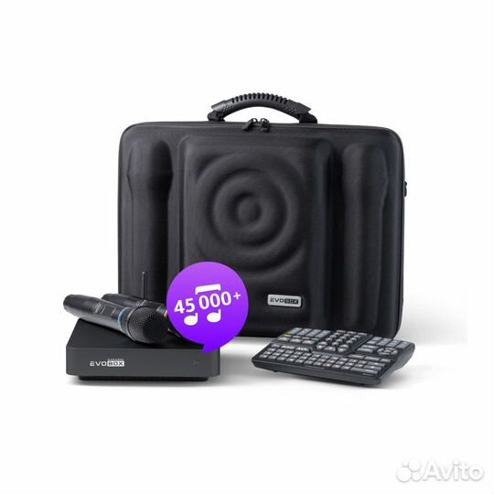 Караоке EvoBox Plus с микрофонами и EvoCase(Новая)