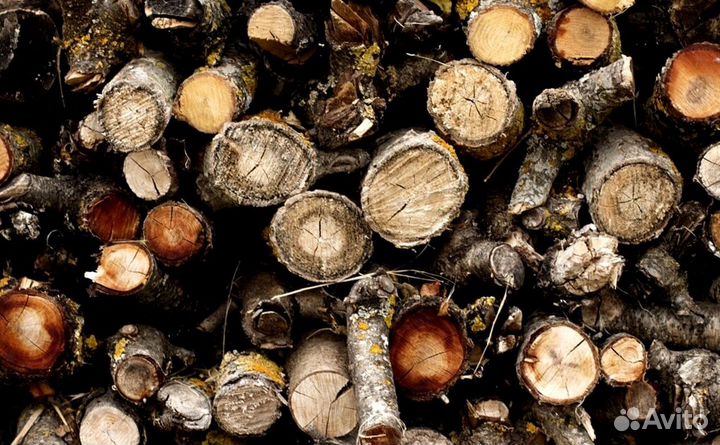 Дрова осина