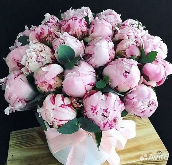 Пионы Букет пионов