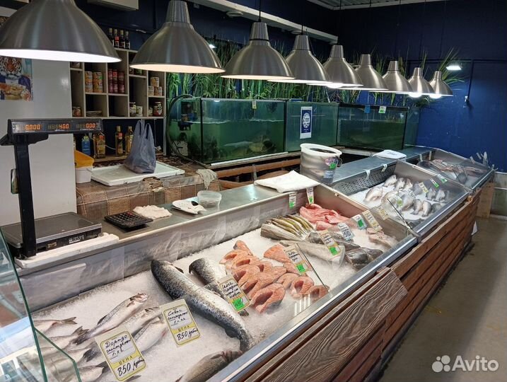 Рыбный магазин