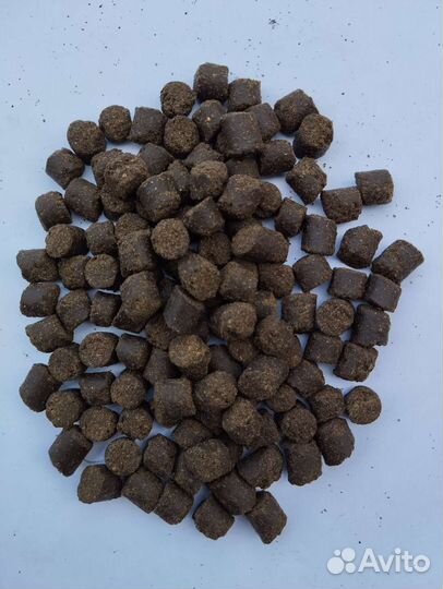 Пеллетс карповый lion baits