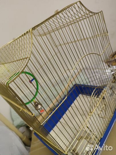 Клетка для волнистого попугая