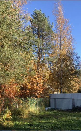 Участок 6 сот. (СНТ, ДНП)