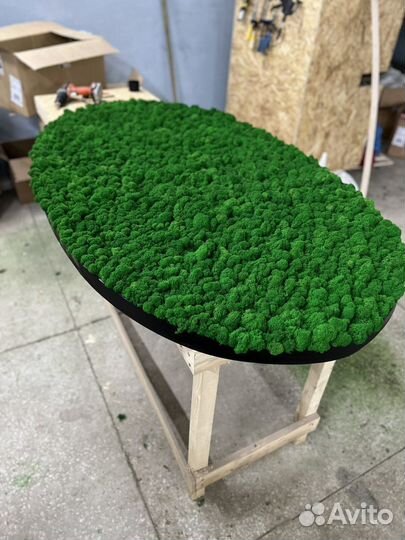 Панно из мха