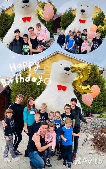 Белый Мишка, поздравления, аниматор