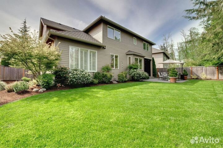 Рулонный газон 