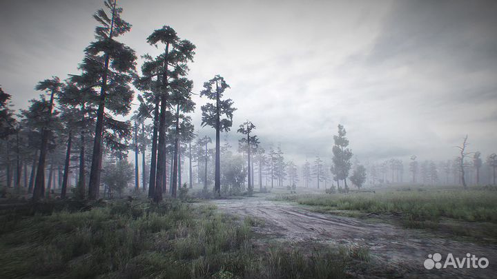 35MM для Nintendo Switch