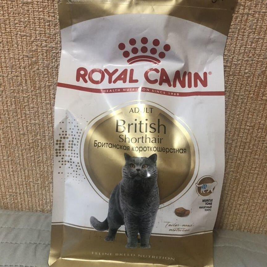 Корм для кошек royal canin british