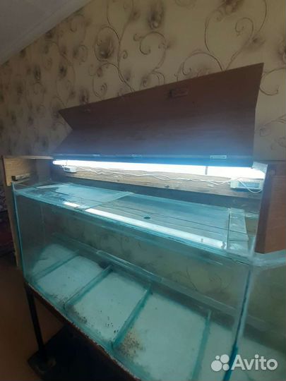 Аквариум