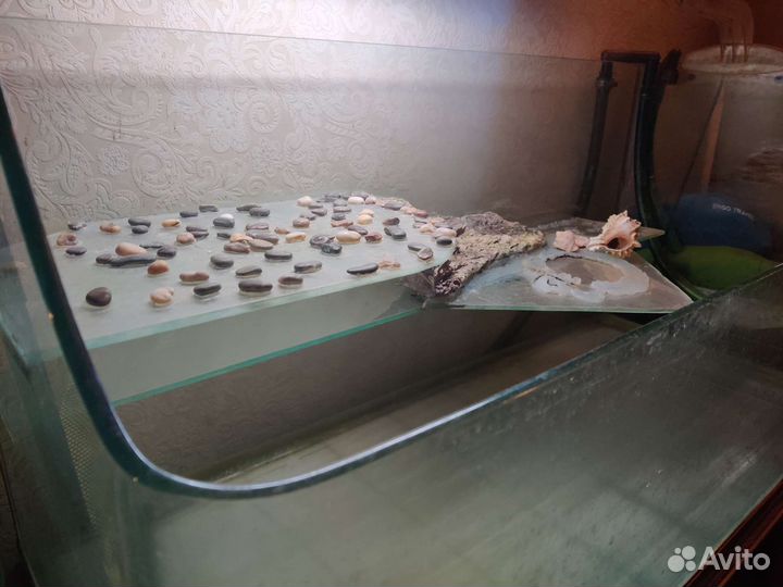 Аквариум 180л открытый для рептилий