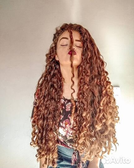 Модель на де кудри