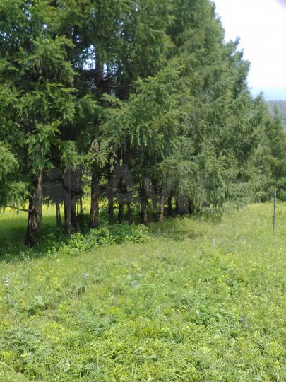 Участок 16 сот. (СНТ, ДНП)