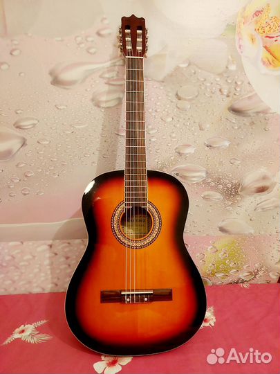 Гитара Martinez Fac-504