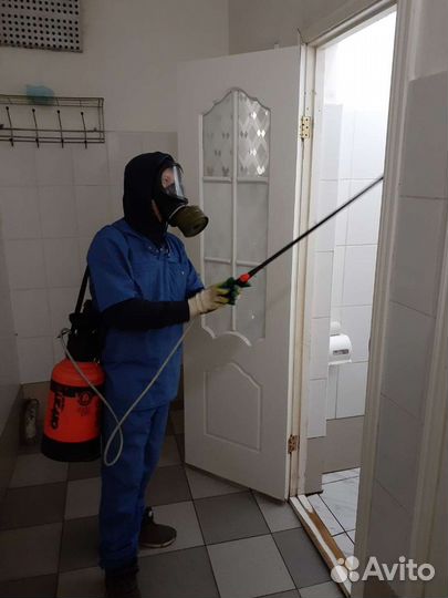 Уничтожение тараканов в квартире