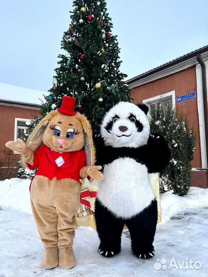 Мишки, Панда, поздравление, аниматор