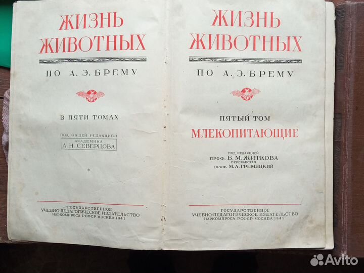 Жизнь Животных Брэм