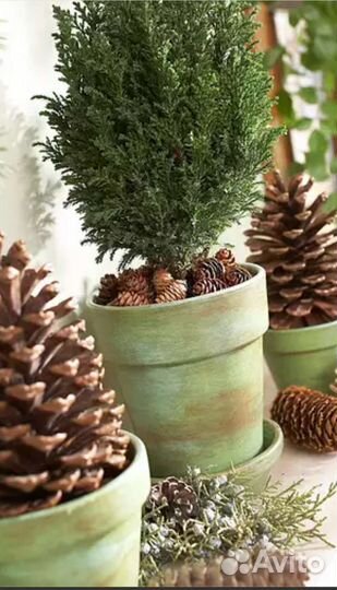 Шишки для декора 200 штук цена за все