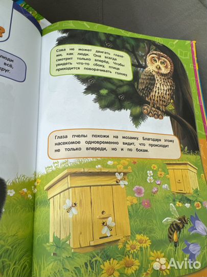 Книга для детей 3-4 лет