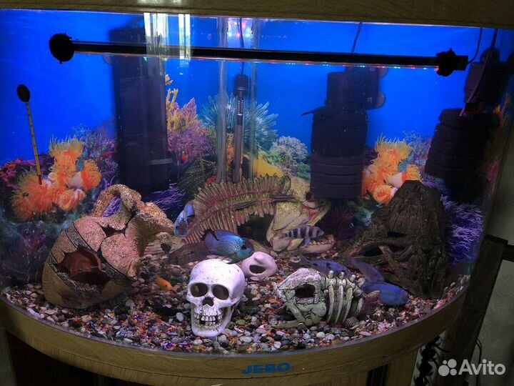 Аквариум с тумбой jeboR470