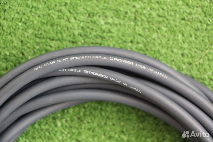 Pioneer OFC Star Quad, Japan