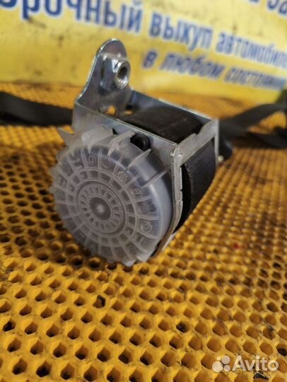 Ремень безопасности Ford Focus