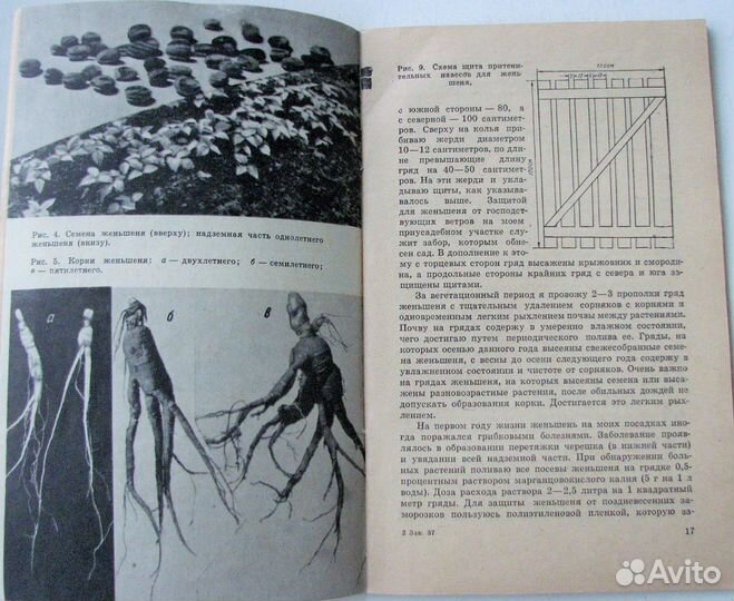 Шестаков А. Женьшень (1977)