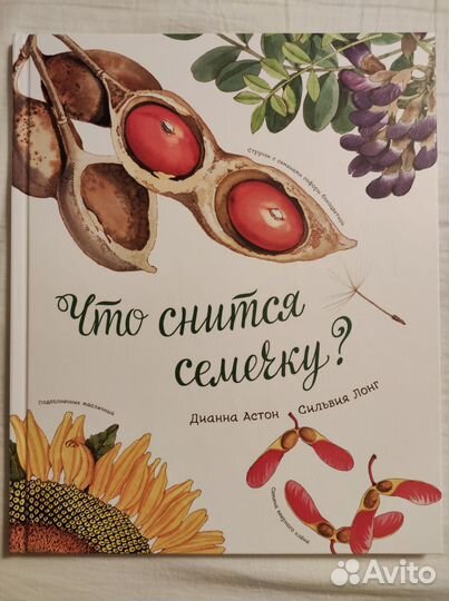 Что снится семечку