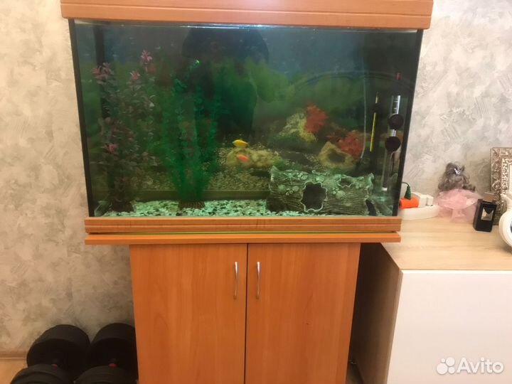 Аквариум с тумбой 500 литров