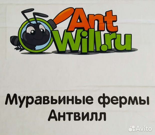 Формикарий для муравьев