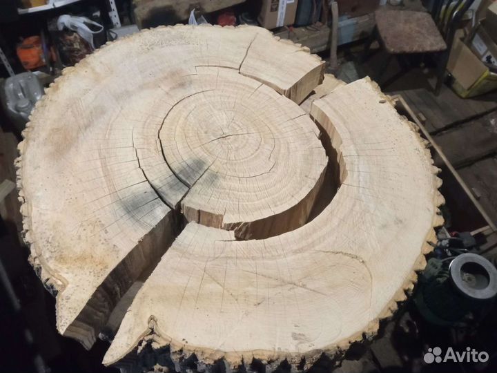 Поперечный спил ясеня