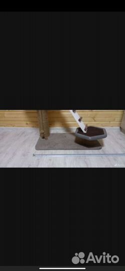 Когтеточка