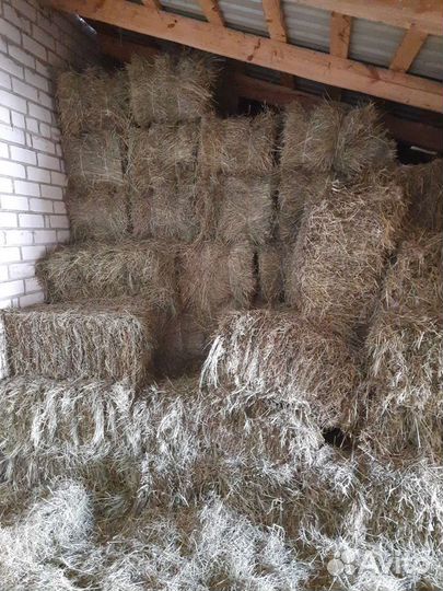 Сено в тюках