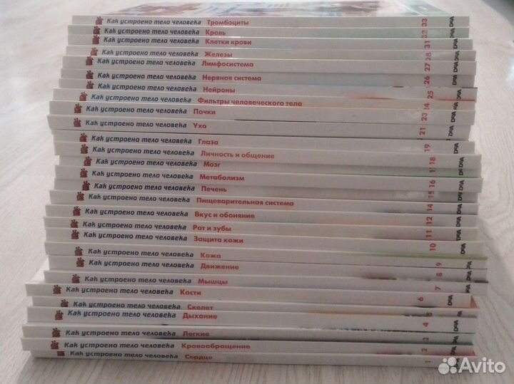 Книги как устроено тело человека 