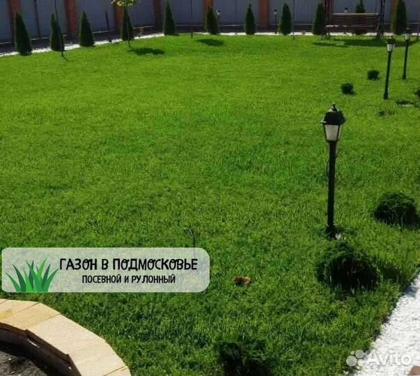 Рулонный газон, газон посевной