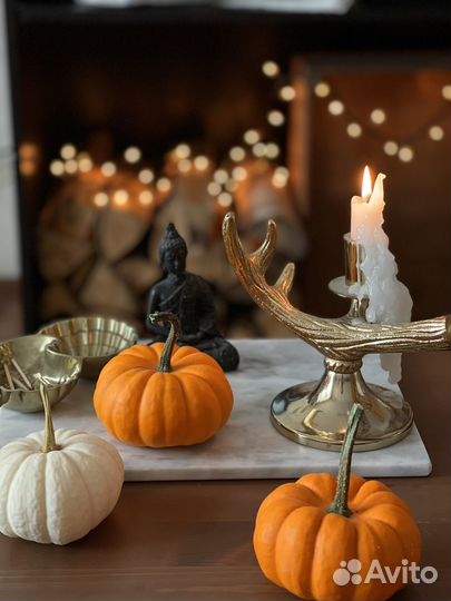 Тыква mini декоративная белая, оранжевая