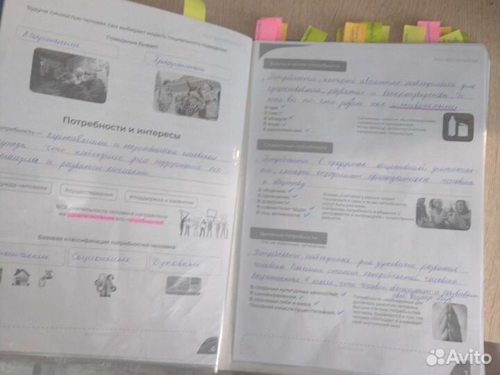 Шпаргалки егэ обществознание