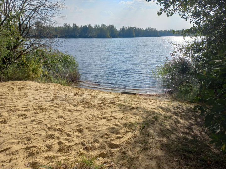 Участок 6 сот. (СНТ, ДНП)