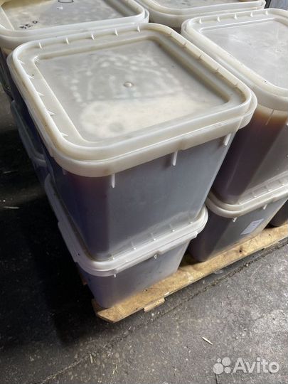 Свежий Майский мёд. Качка 2023 Оптом