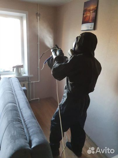 Уничтожение Тараканов Клопов Дезинсекция