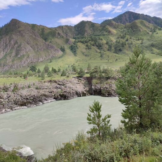 Участок 50 сот. (СНТ, ДНП)